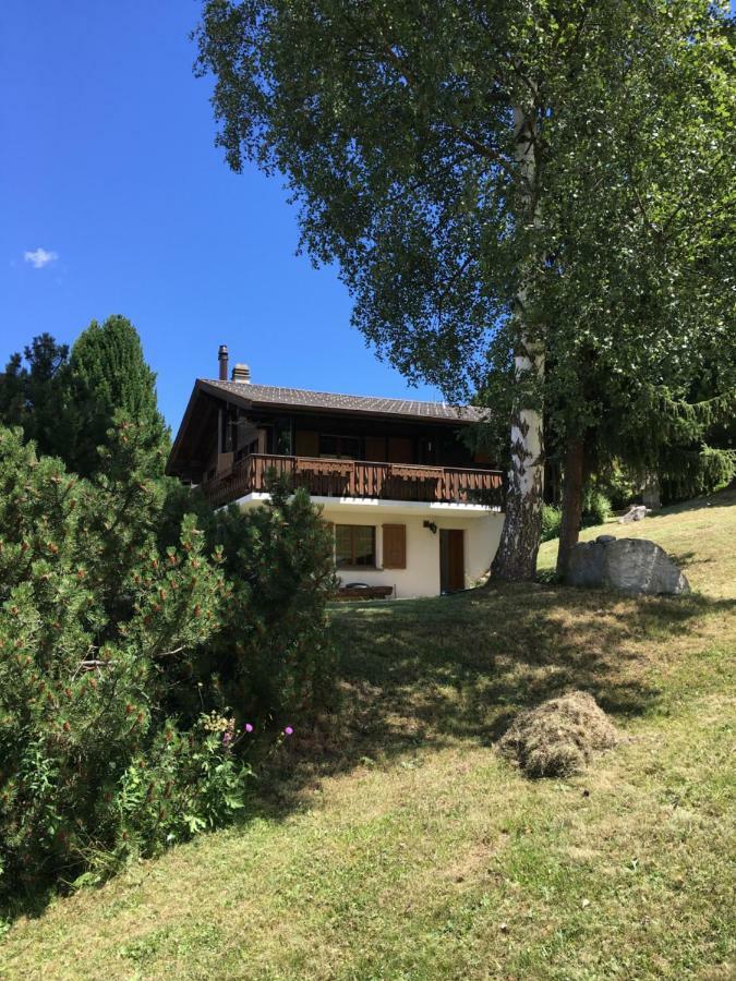 Ferienwohnung Im Chalet Firn - Og Бюрхен Экстерьер фото